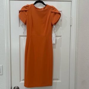 Orange Tulip Sleeve Solid Sheath Stretch Dress